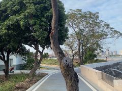 -鱼珠码头(轮渡站)
