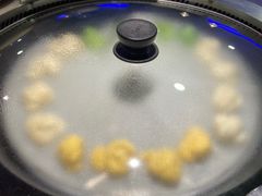 -挂雪铁锅炖大鹅