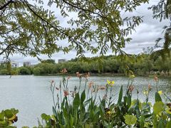 -浙江农林大学(东湖校区)