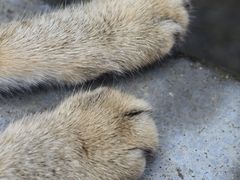 -Again Coffee Roaster(香蜜湖店)