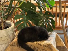 -青莯_Percher Coffee Shop(皮市街店)