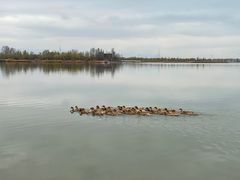 -野鸭湖国家湿地公园