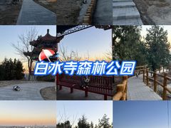 -白水寺森林公园
