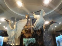 -下渚湖国家湿地公园科普馆