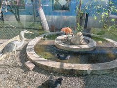 -青藏高原野生动物园