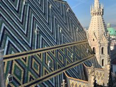 -斯蒂芬主教座堂(Stephansdom)