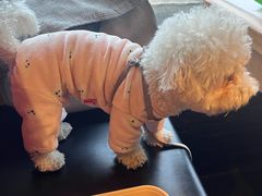 -左庭右院鲜牛肉火锅(苏州园区永旺店)