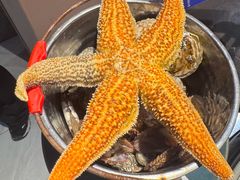 -渔港甄宴·海鲜·地标烟台菜(泰山路店)