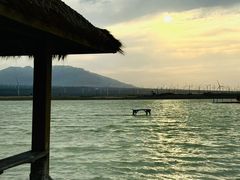 -盐湖景区