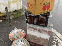 -双福水果批发市场