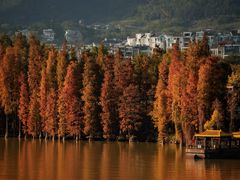 -星湖旅游景区七星岩