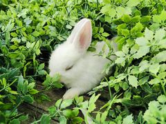 -伴山茶苑·一盏冰茶·半日山居