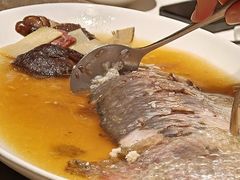 招牌中式清蒸鲥鱼（半条）-苏浙汇(南京西路店)
