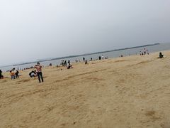 -瑶湖郊野森林公园