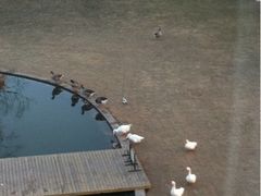 -月亮河温泉度假酒店