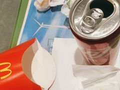 -麦当劳(北京大兴机场二层国内到达(安检外)店)