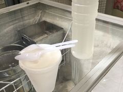 -洪馨椰子