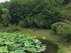 -白鹿原影视城