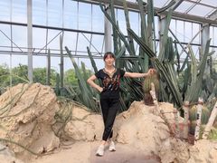 -南通洲际绿博园