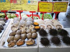 -蚝专家(北滘店)