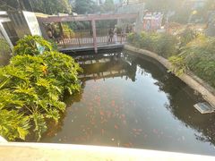 -桂林两江四湖景区