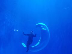 -多彩贵州城极地海洋世界