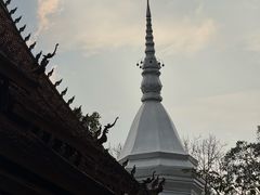 -西双版纳傣族园