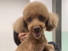 -宠福鑫康馨动物医院·骨科·眼科