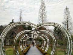 -昆山城市生态森林公园