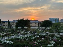 -曹州百花园