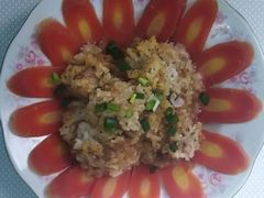 -田螺阿姨自营月嫂·育儿嫂(高新店)