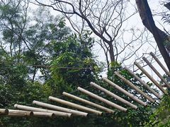 -芦仙山景区-飞越丛林探险乐园