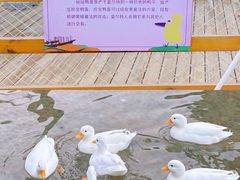 -珠海海泉湾神秘岛亲子乐园