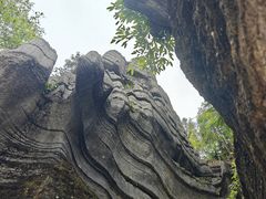 -梭布垭石林景区