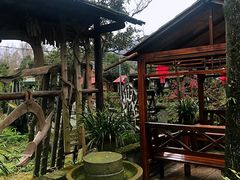 -青城甲(青城山店)