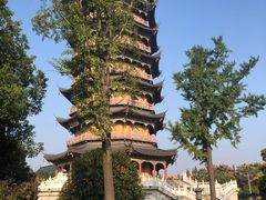 -葛仙湖公园