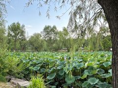 -承德避暑山庄景区
