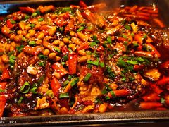 香辣清江鱼-伟大航路烤鱼(迅驰广场店)