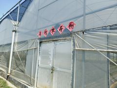 -乌村