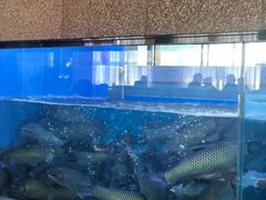 -淘米捞·米汤脆鲩鱼火锅(福田皇岗店)