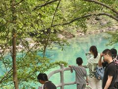 -石台牯牛降景区