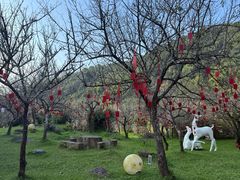 -广东天露山旅游度假区