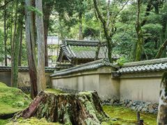 -西芳寺(苔寺)
