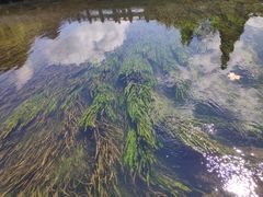 -贵阳市花溪国家城市湿地公园