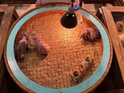 -酷嗒动物文化乐园(cutezoo西溪乐天城店)