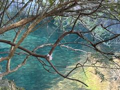 -石台牯牛降景区