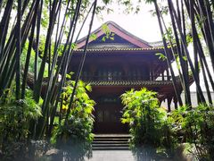-望江楼公园