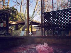 -春晖园度假酒店温泉