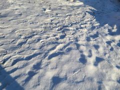 -中旅松花湖滑雪场