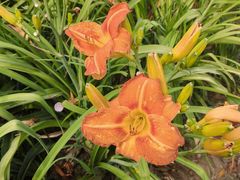 -汉长安城未央宫国家考古遗址公园